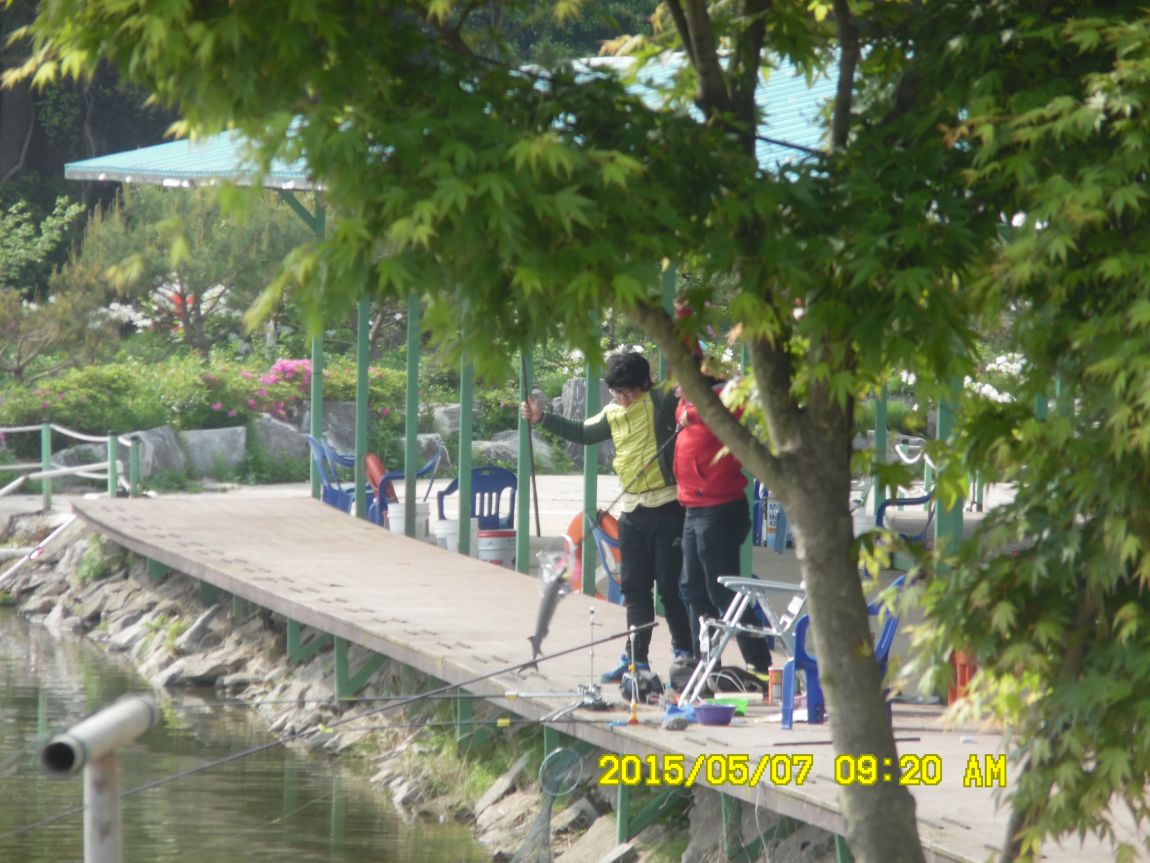 5��7�� 024.JPG