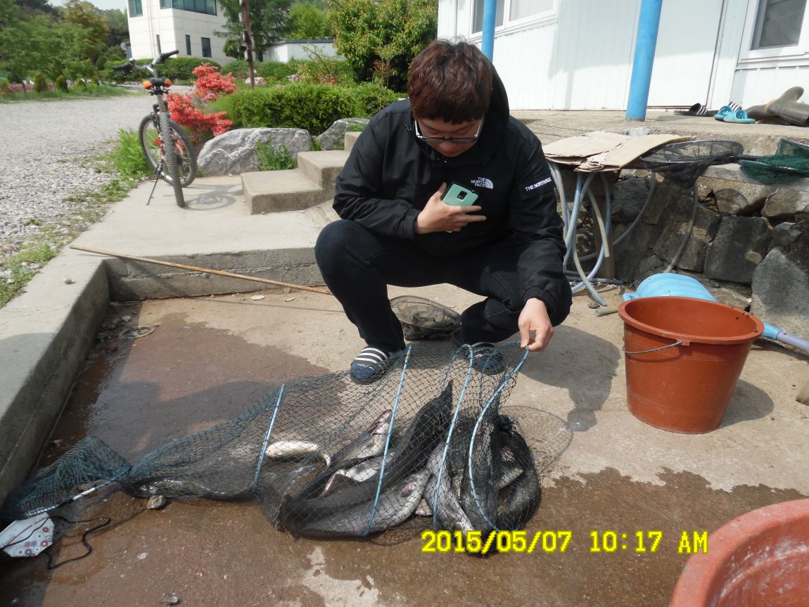 5��7�� 031.JPG