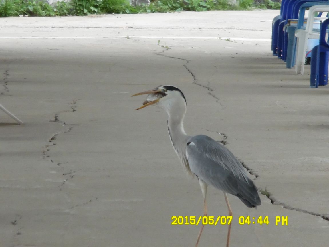 5��7�� 039.JPG