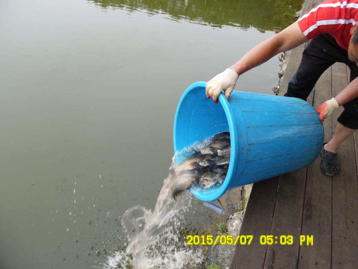 5��7�� 042.JPG