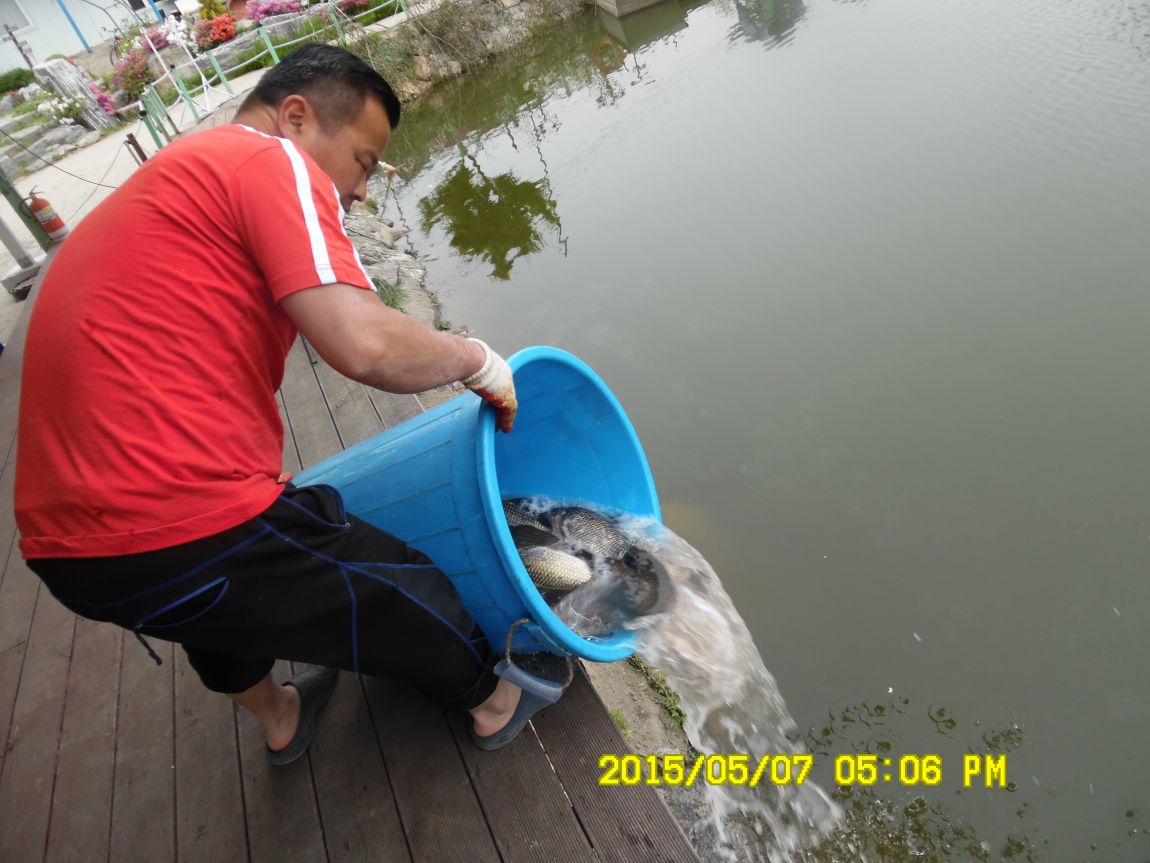 5��7�� 043.JPG