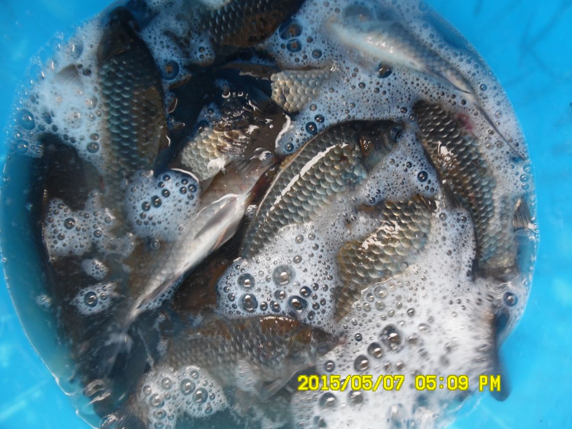 5��7�� 044.JPG