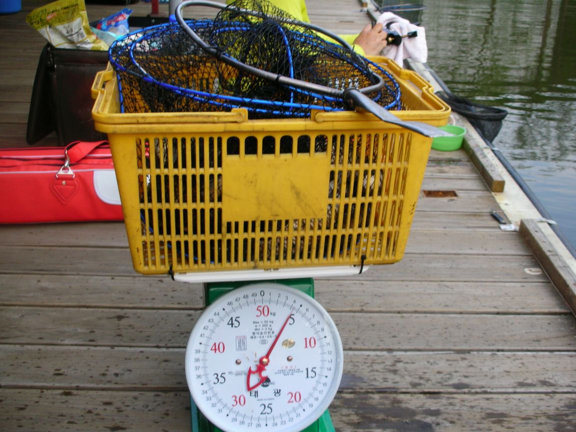 DSCN3687.JPG