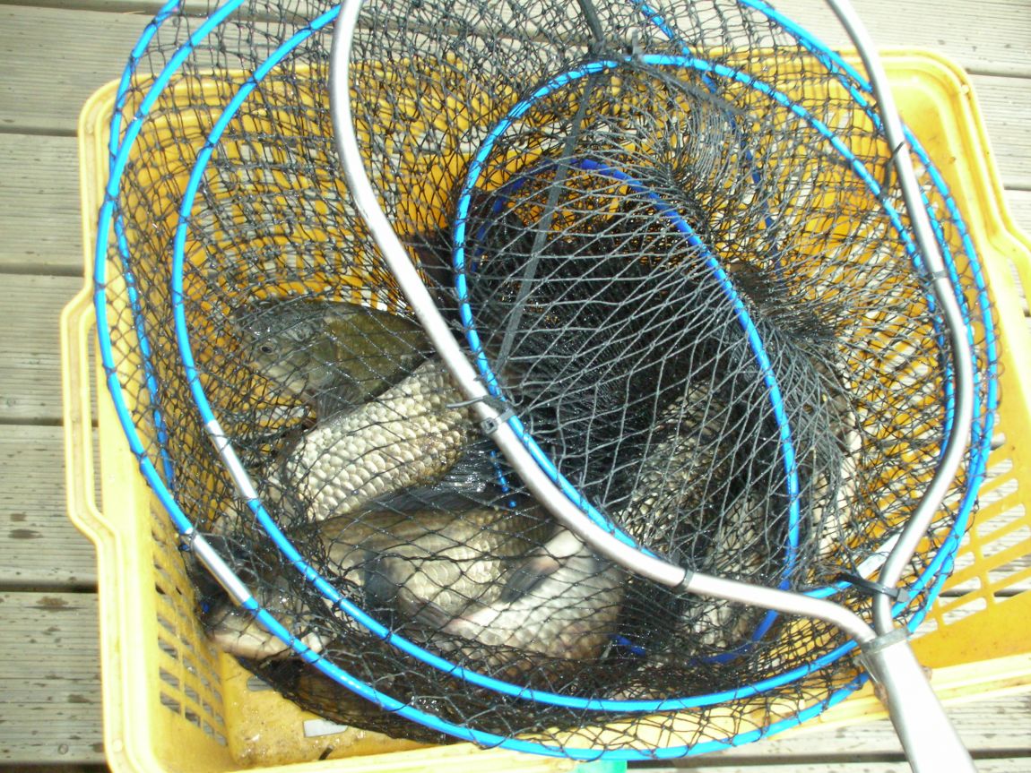 DSCN3688.JPG