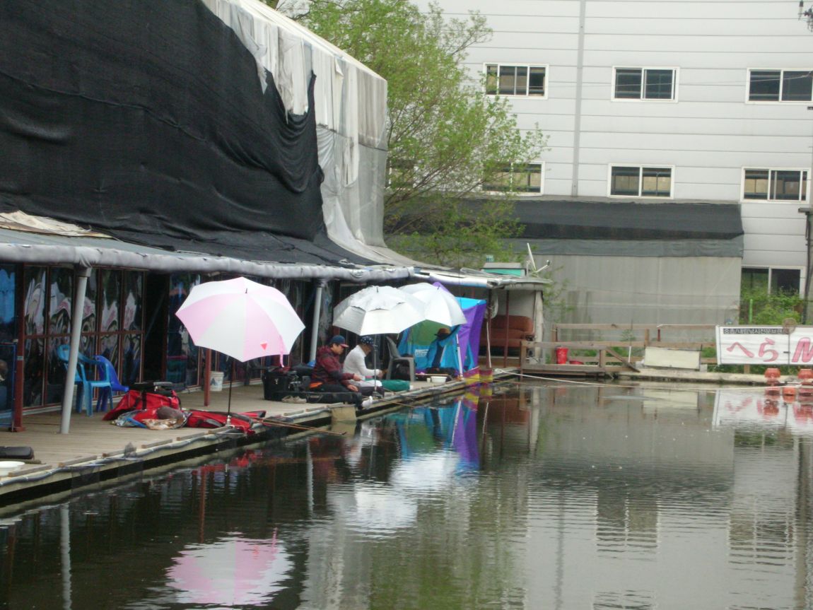 DSCN3690.JPG