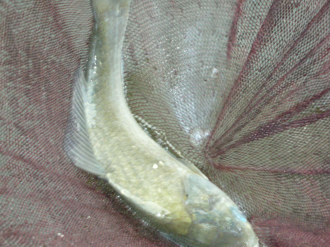 DSCN3693.JPG