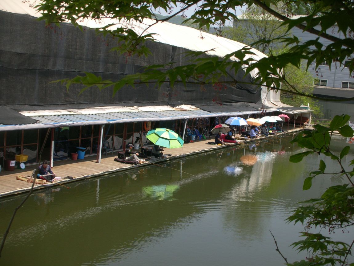 DSCN3695.JPG
