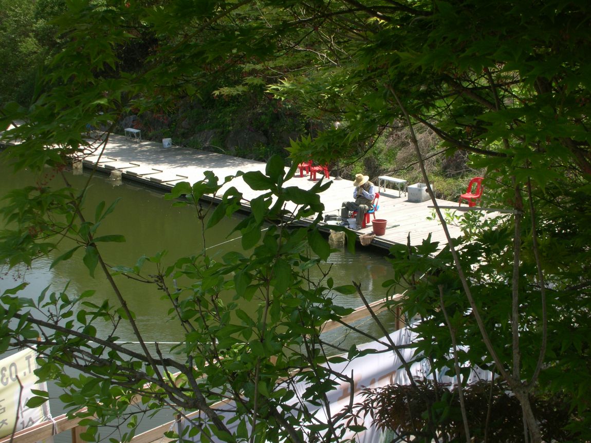 DSCN3696.JPG