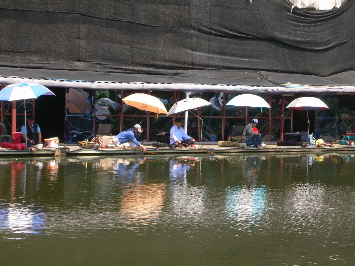 DSCN3700.JPG