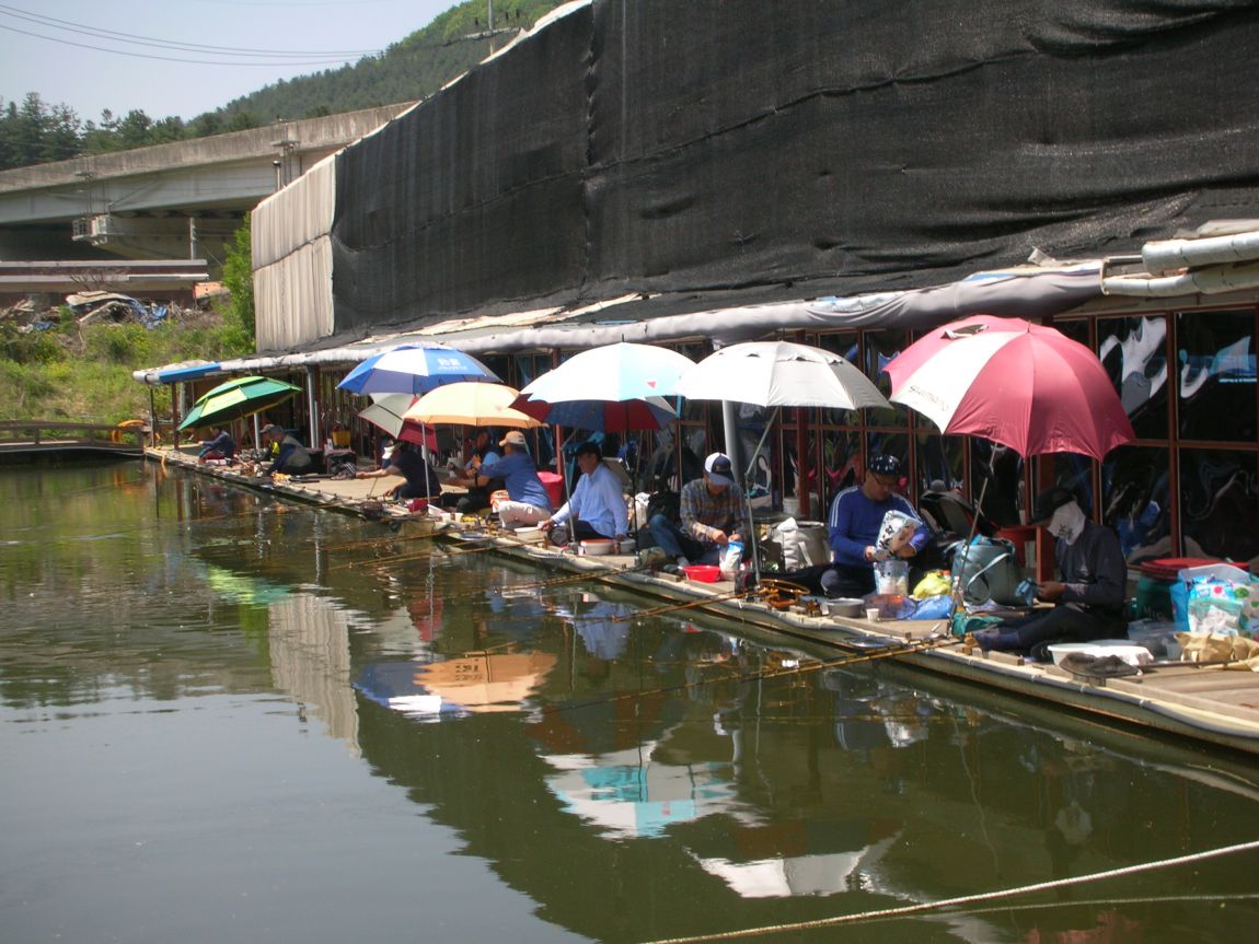 DSCN3702.JPG