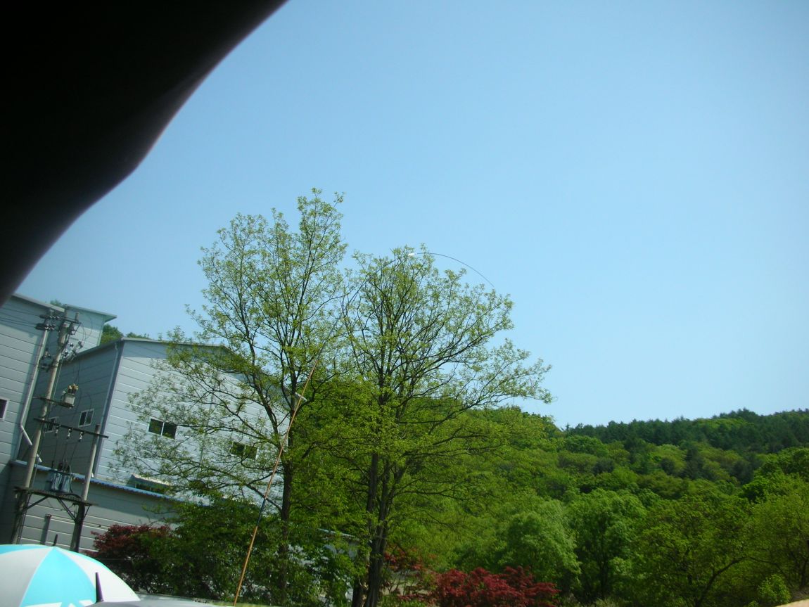 DSCN3705.JPG