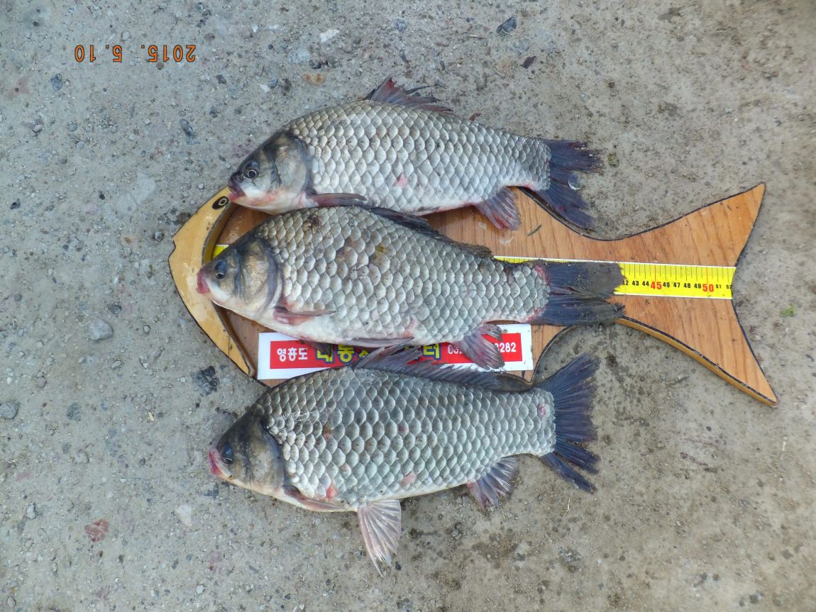 201300703 117.jpg