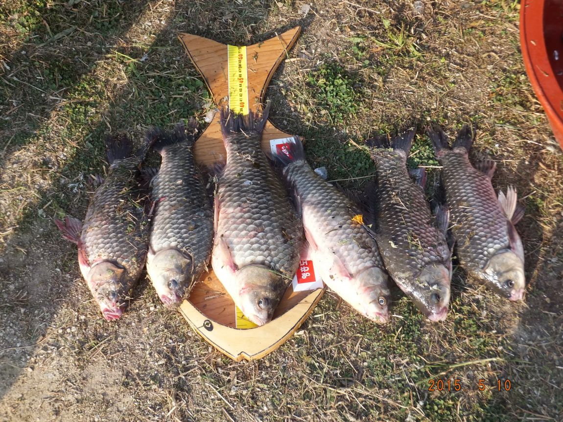 201300703 102.jpg
