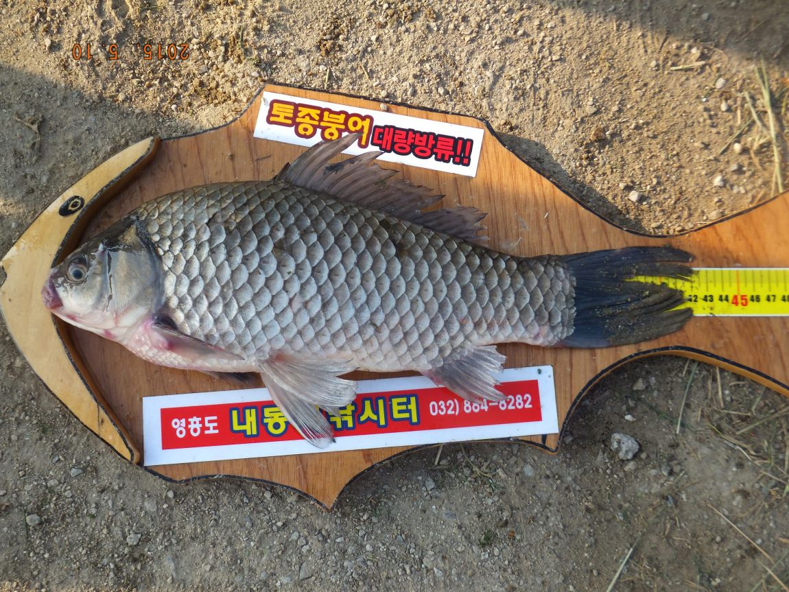 201300703 093.jpg