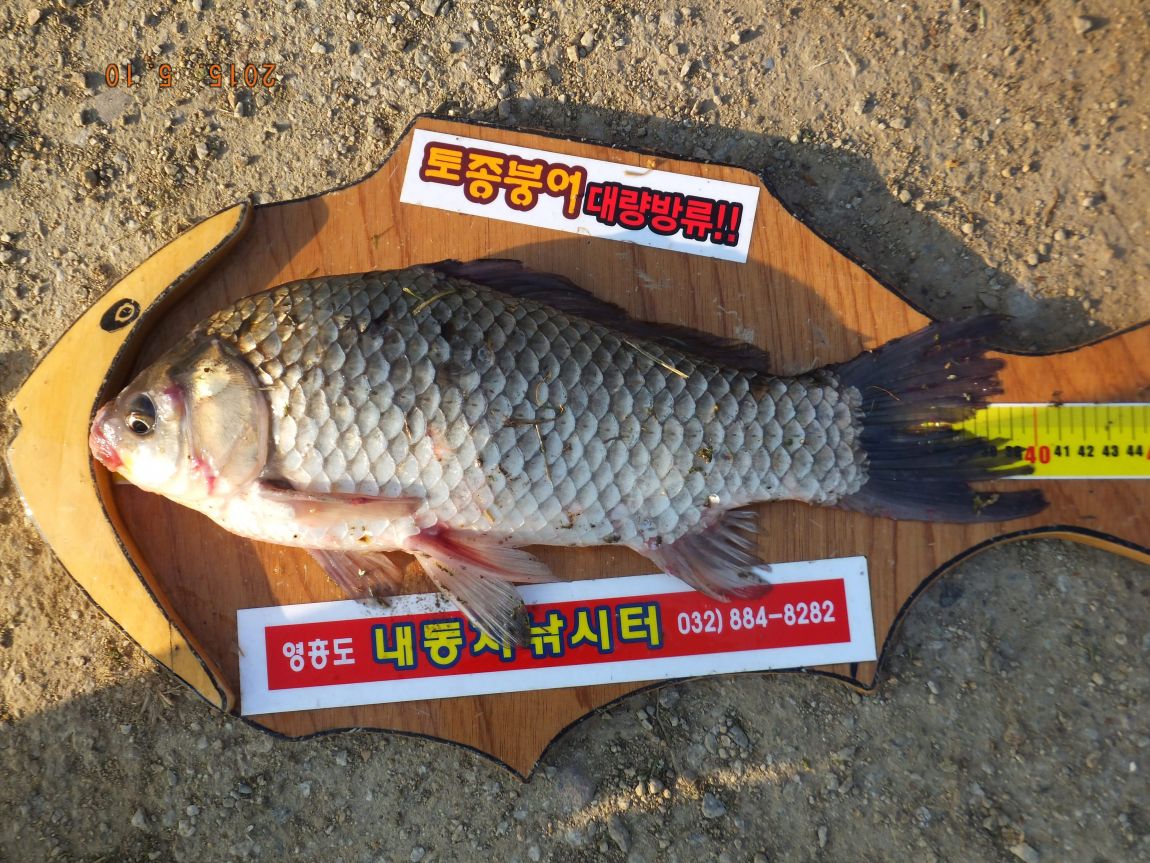 201300703 085.jpg