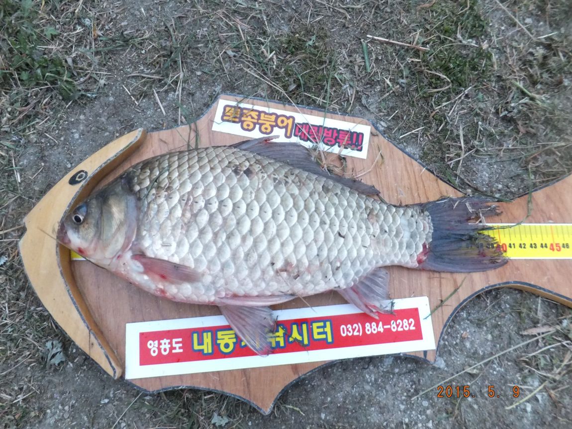 201300703 078.jpg