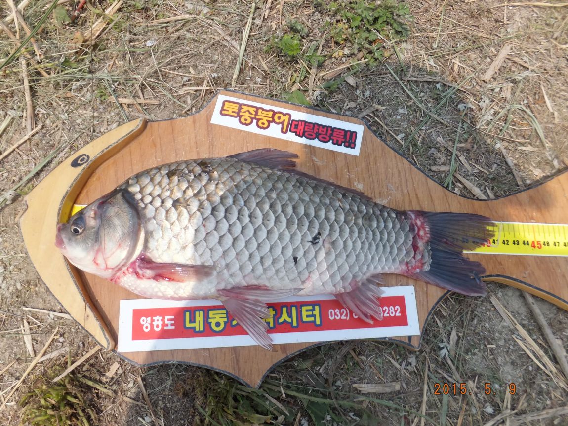 201300703 014.jpg