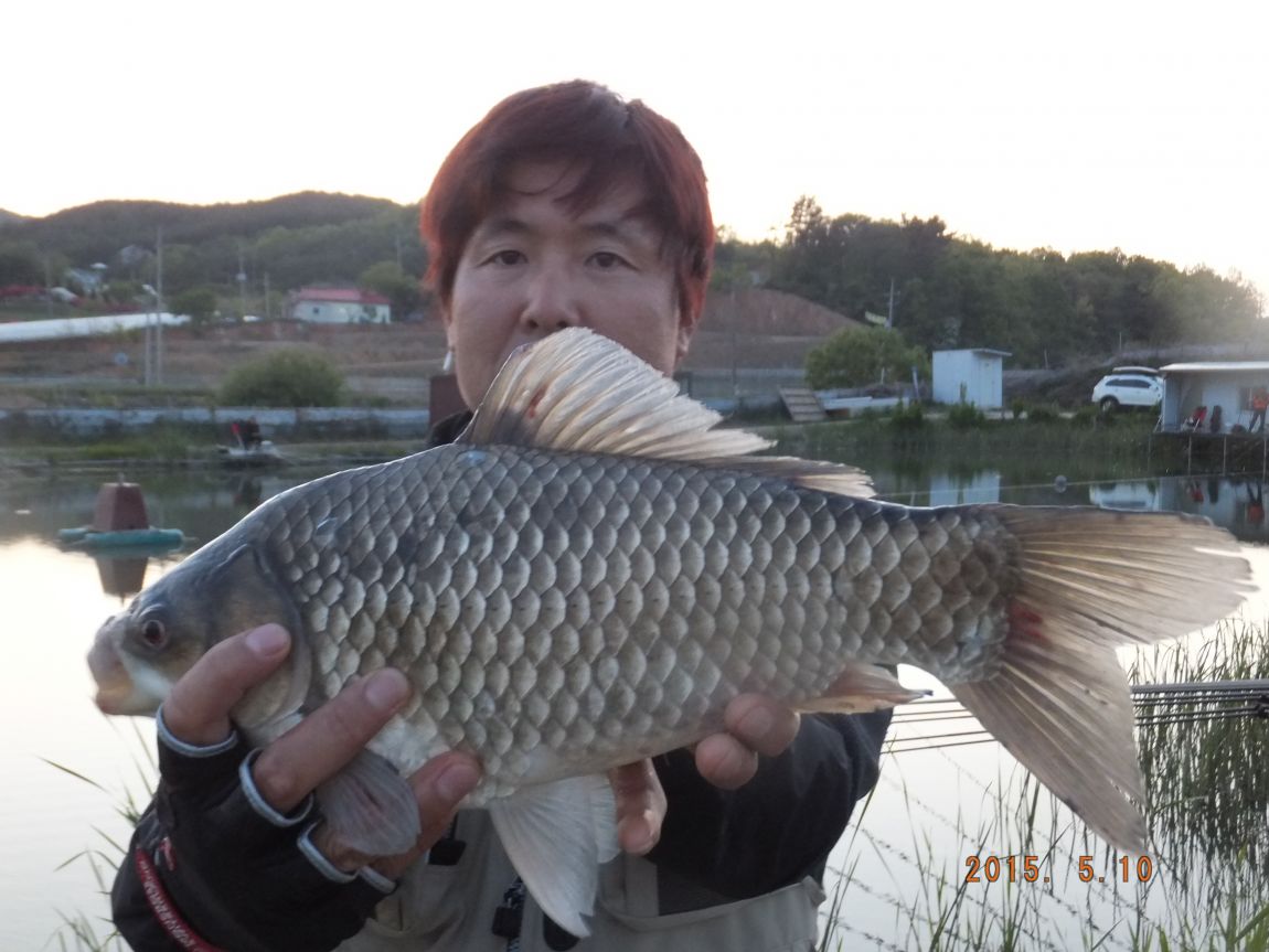 201300703 147.jpg