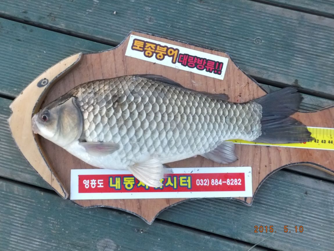 201300703 145.jpg