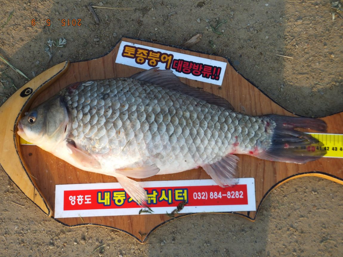 201300703 009.jpg