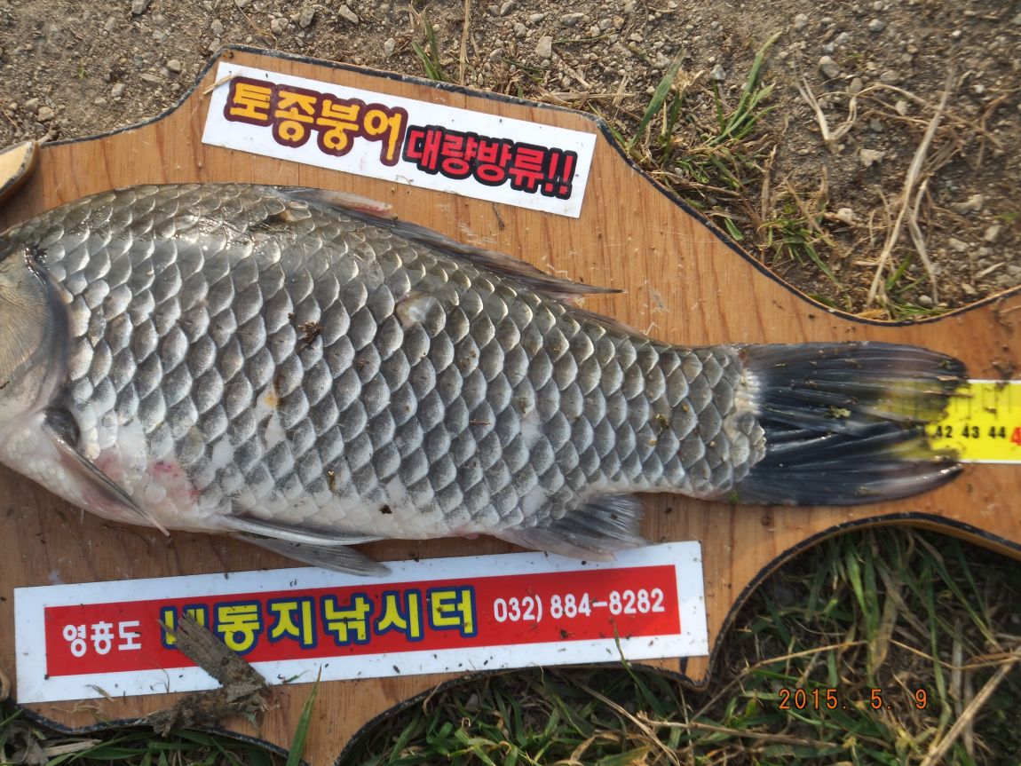 201300703 003.jpg