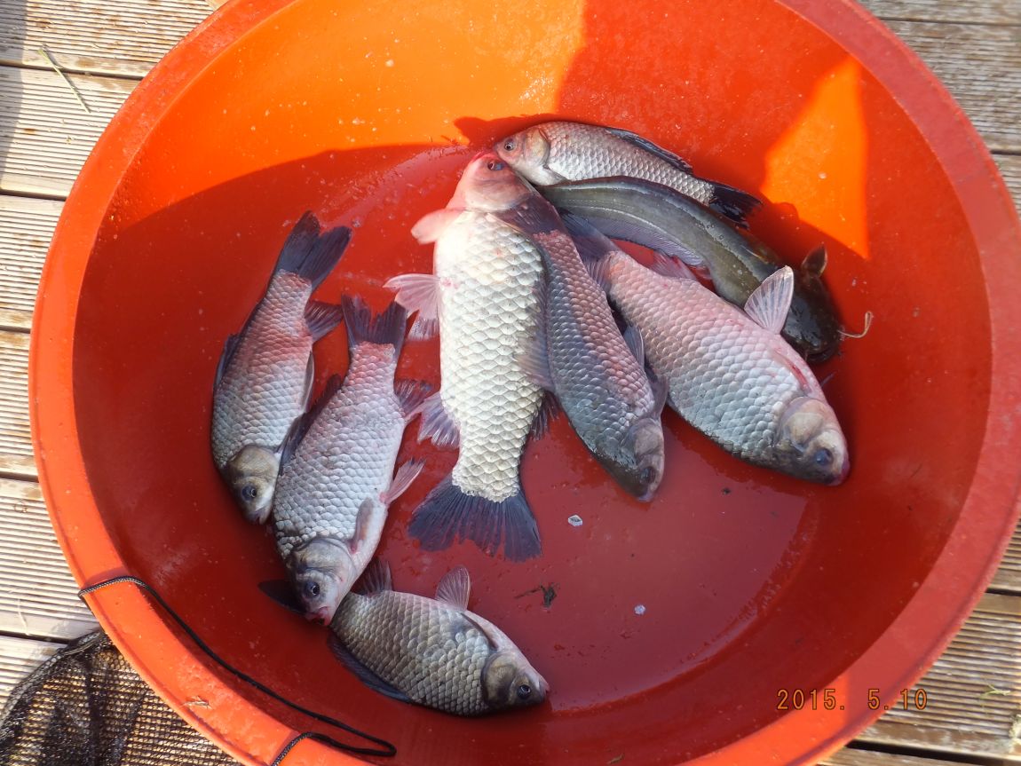 201300703 092.jpg
