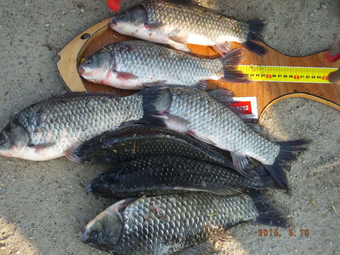 201300703 112.jpg