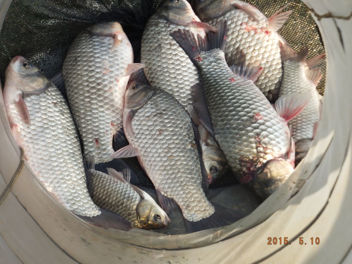 201300703 099.jpg