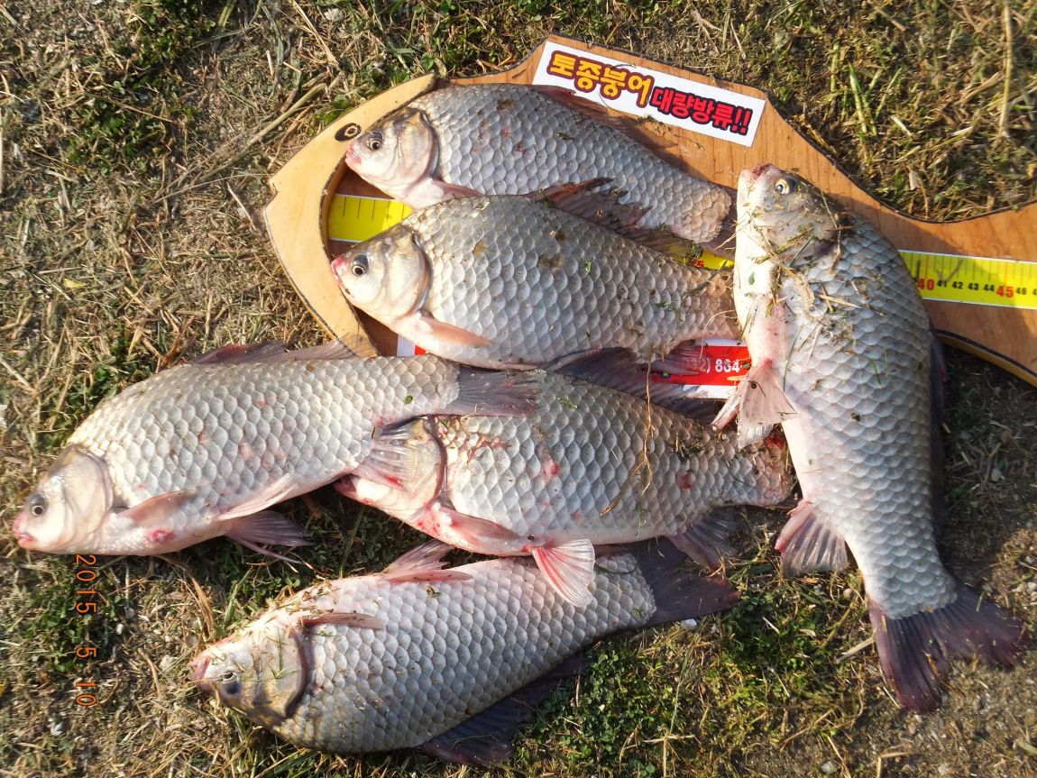 201300703 100.jpg