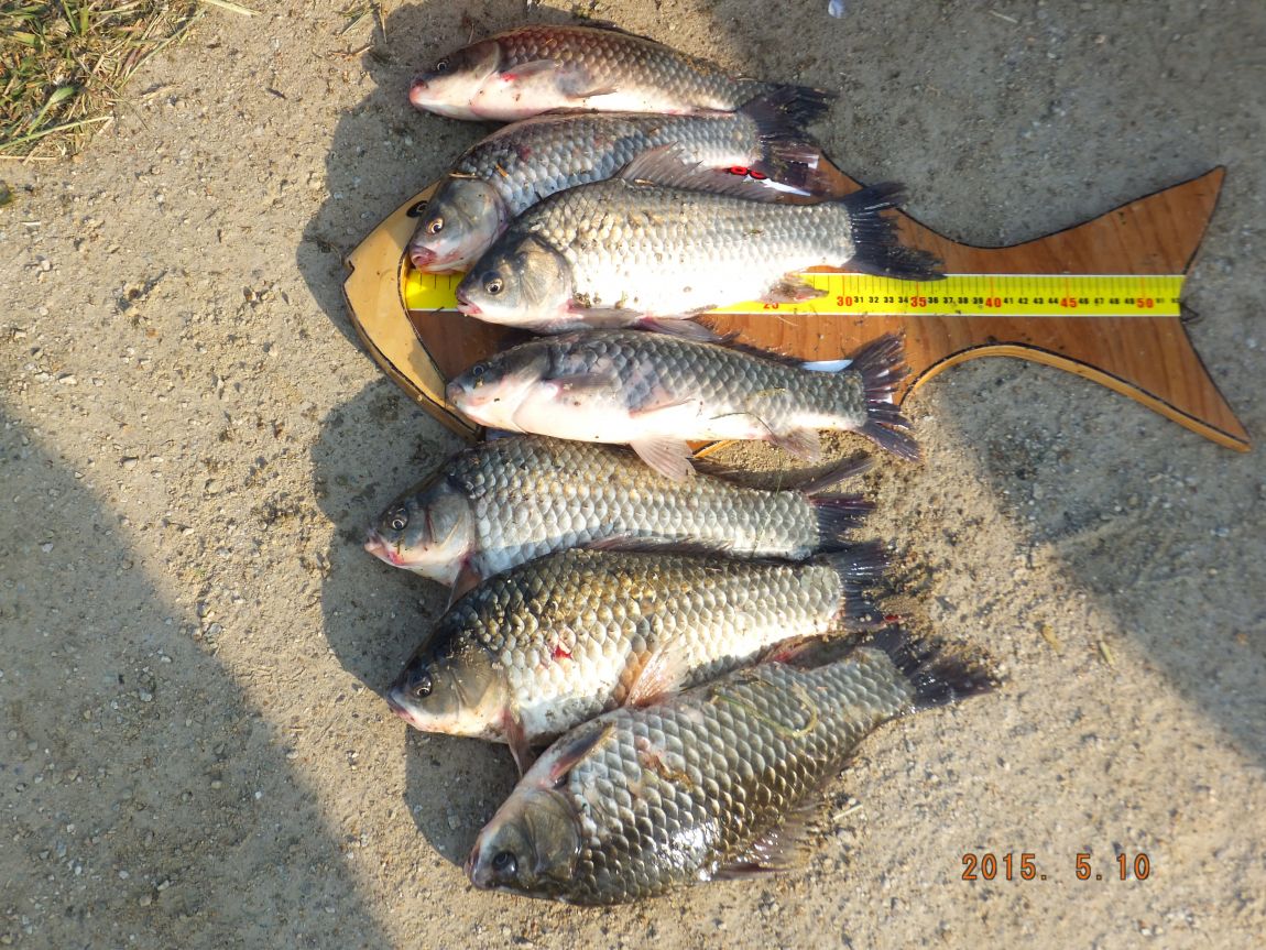 201300703 113.jpg