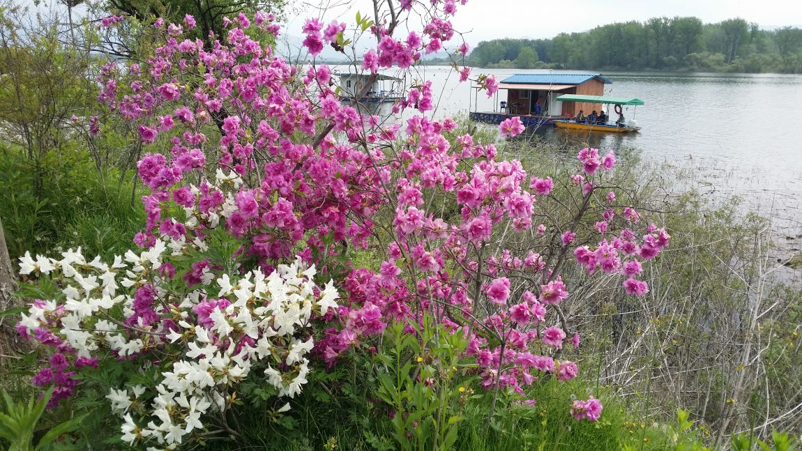 20150509_095237.jpg