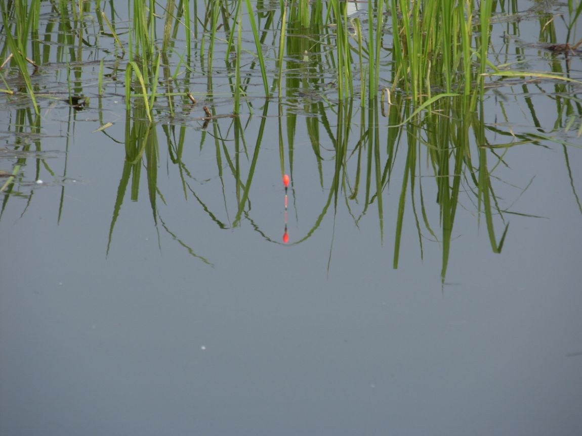 SH100466.JPG