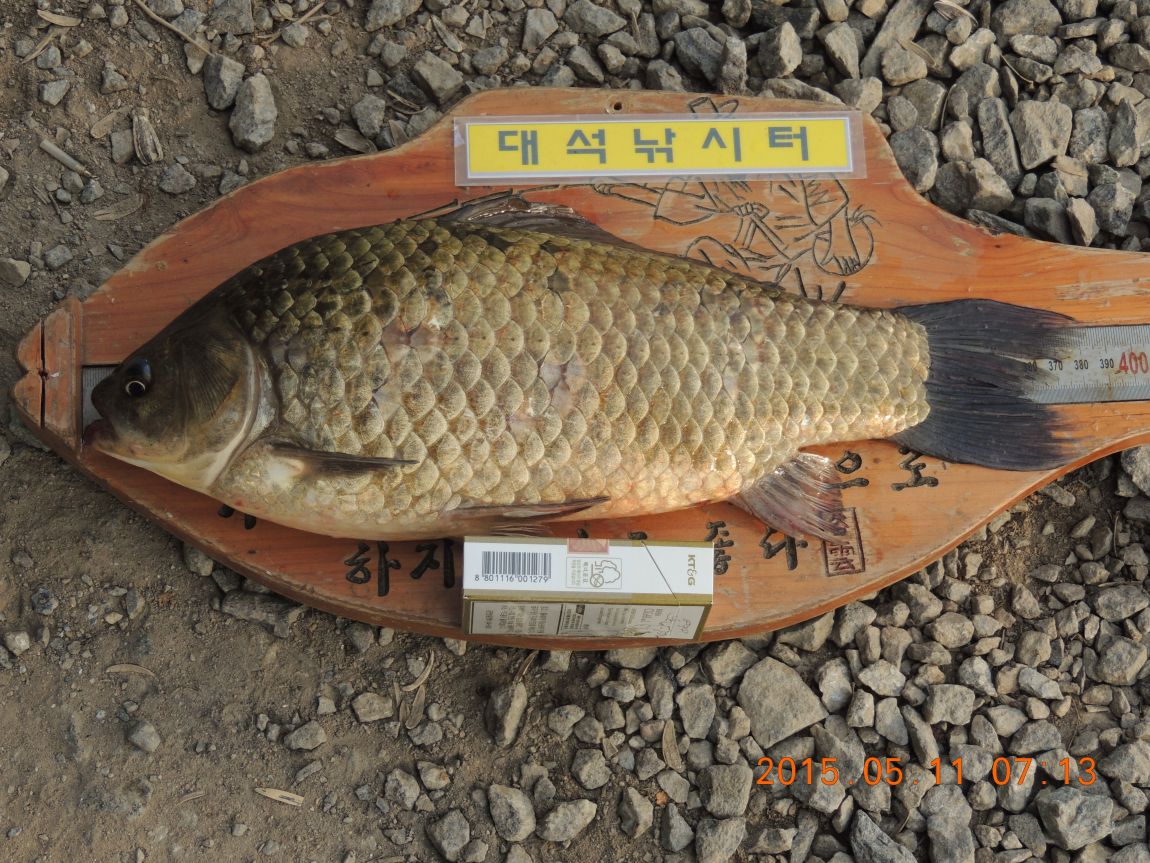 DSCN5381.JPG