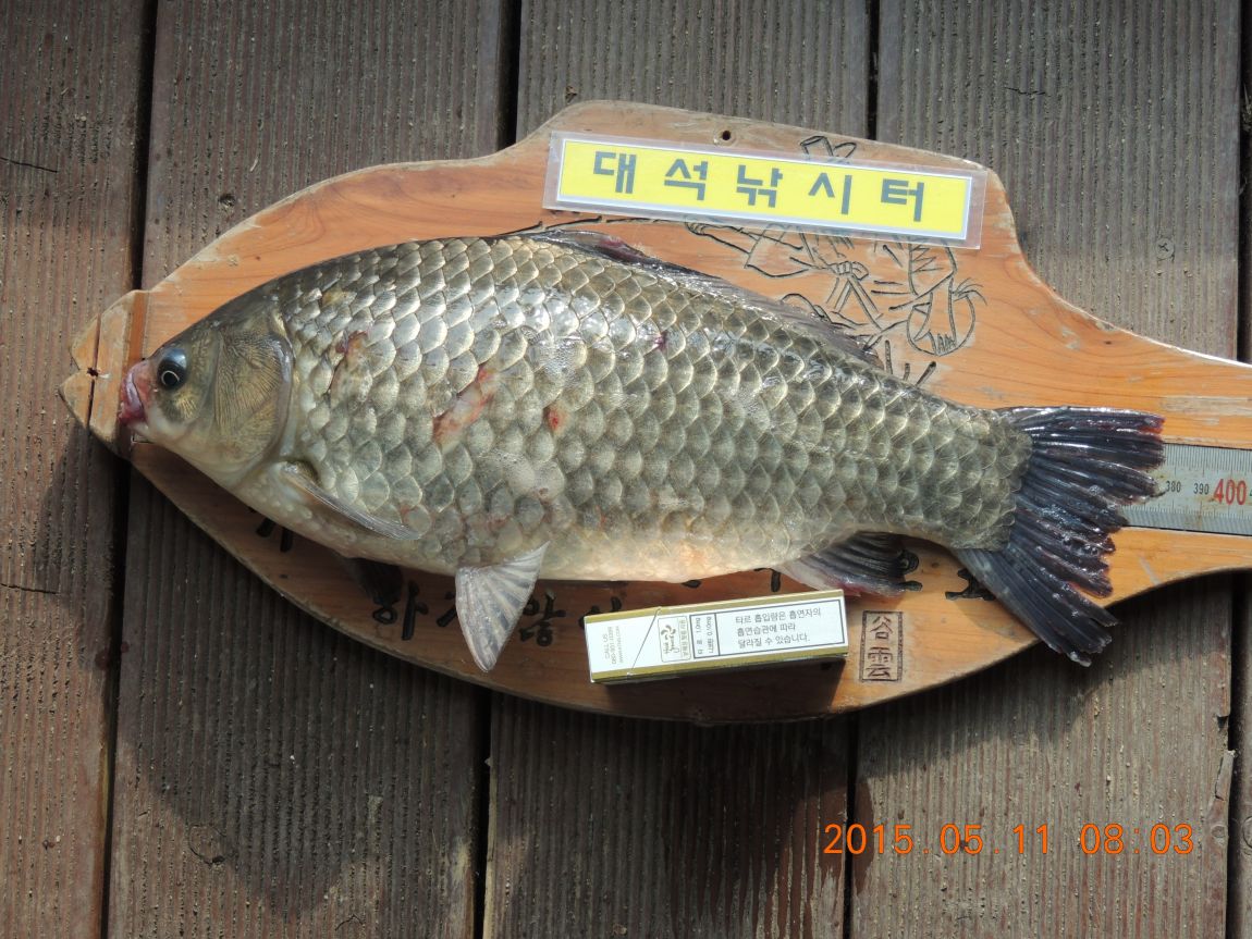 DSCN5385.JPG