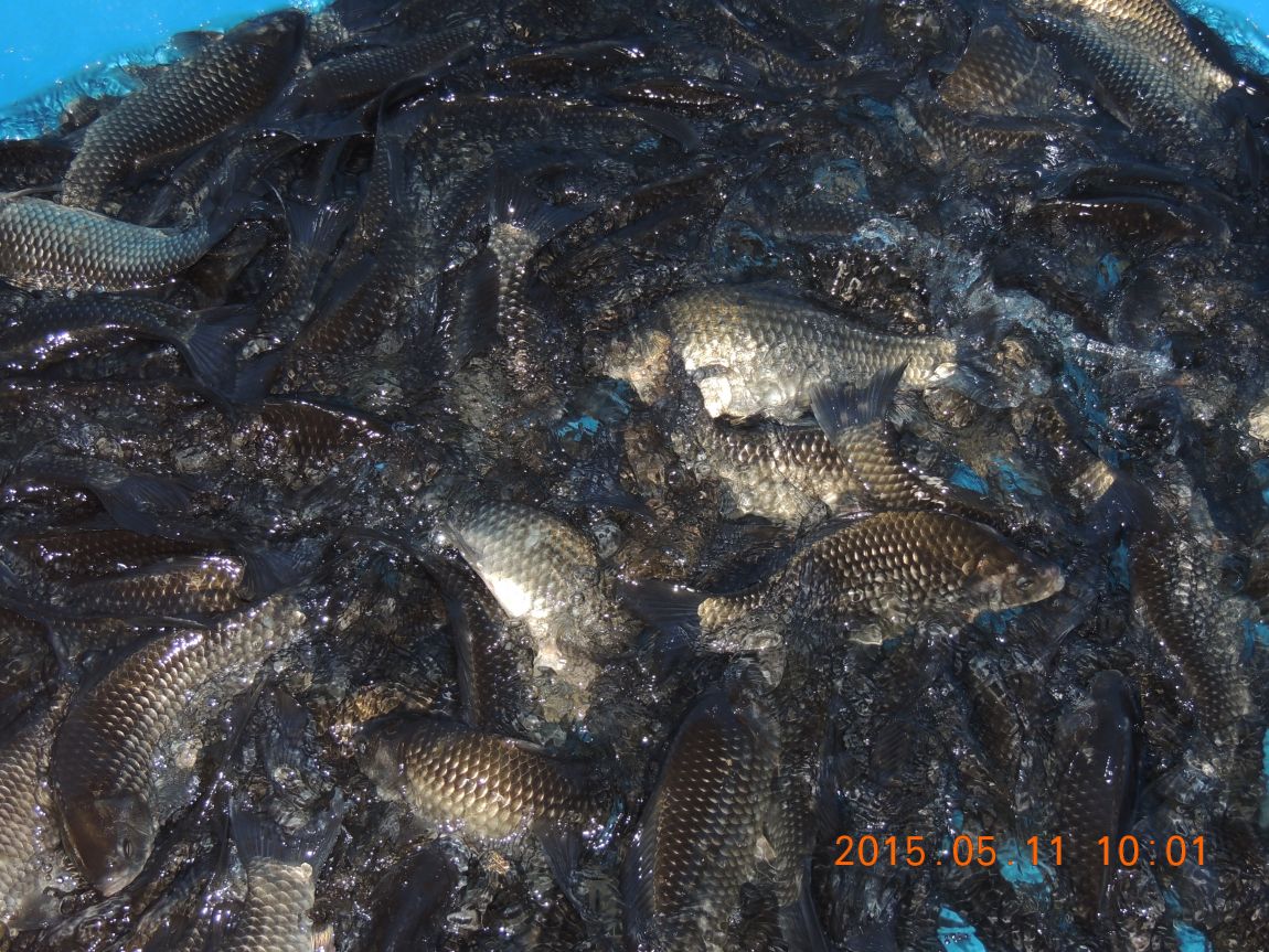 DSCN5391.JPG