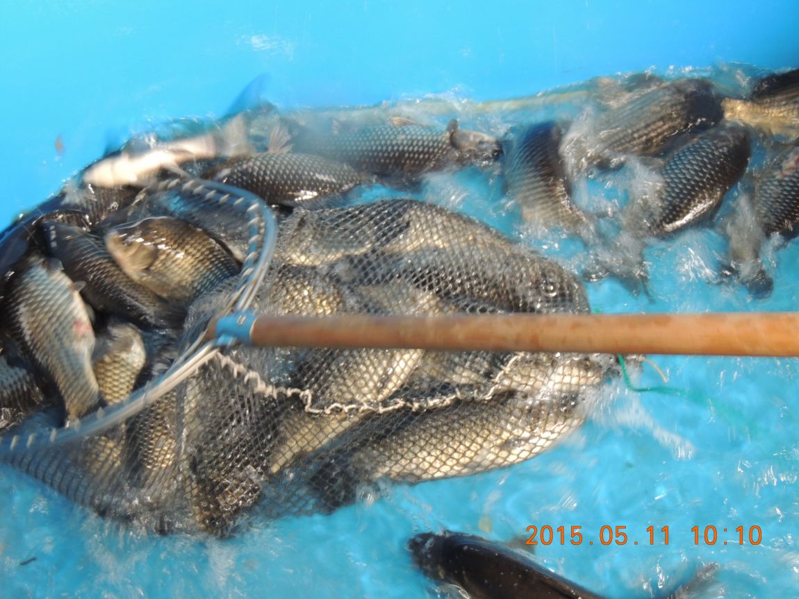 DSCN5430.JPG
