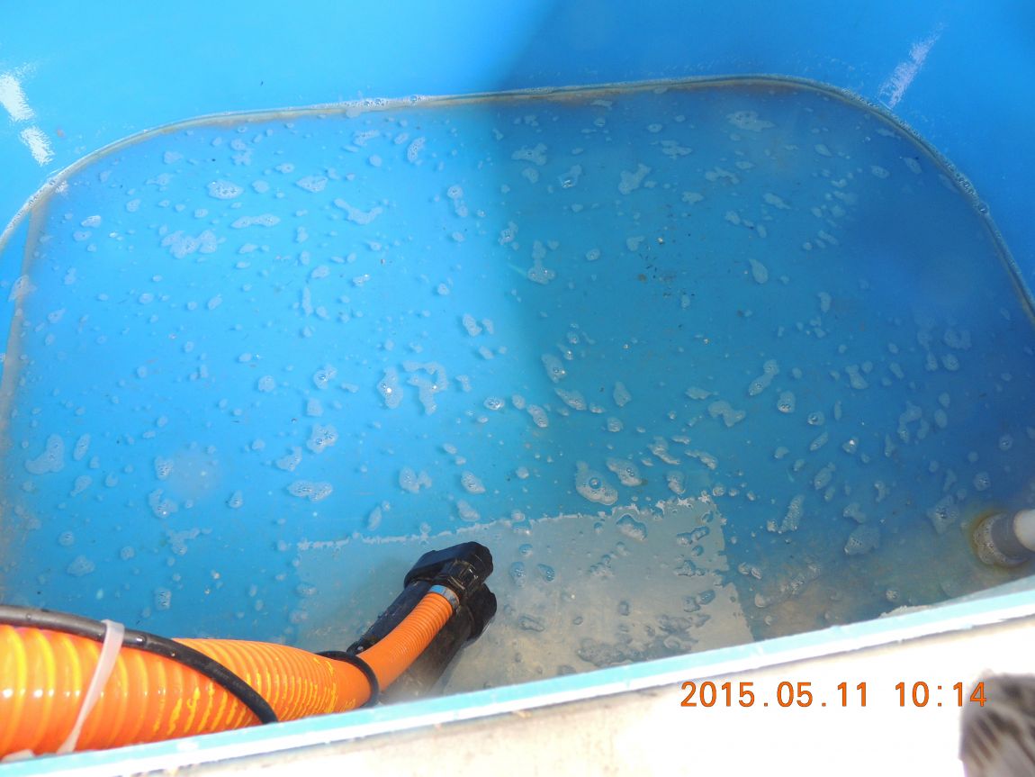 DSCN5437.JPG