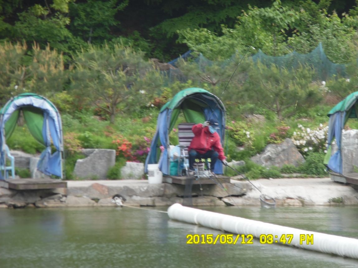 12 007.JPG