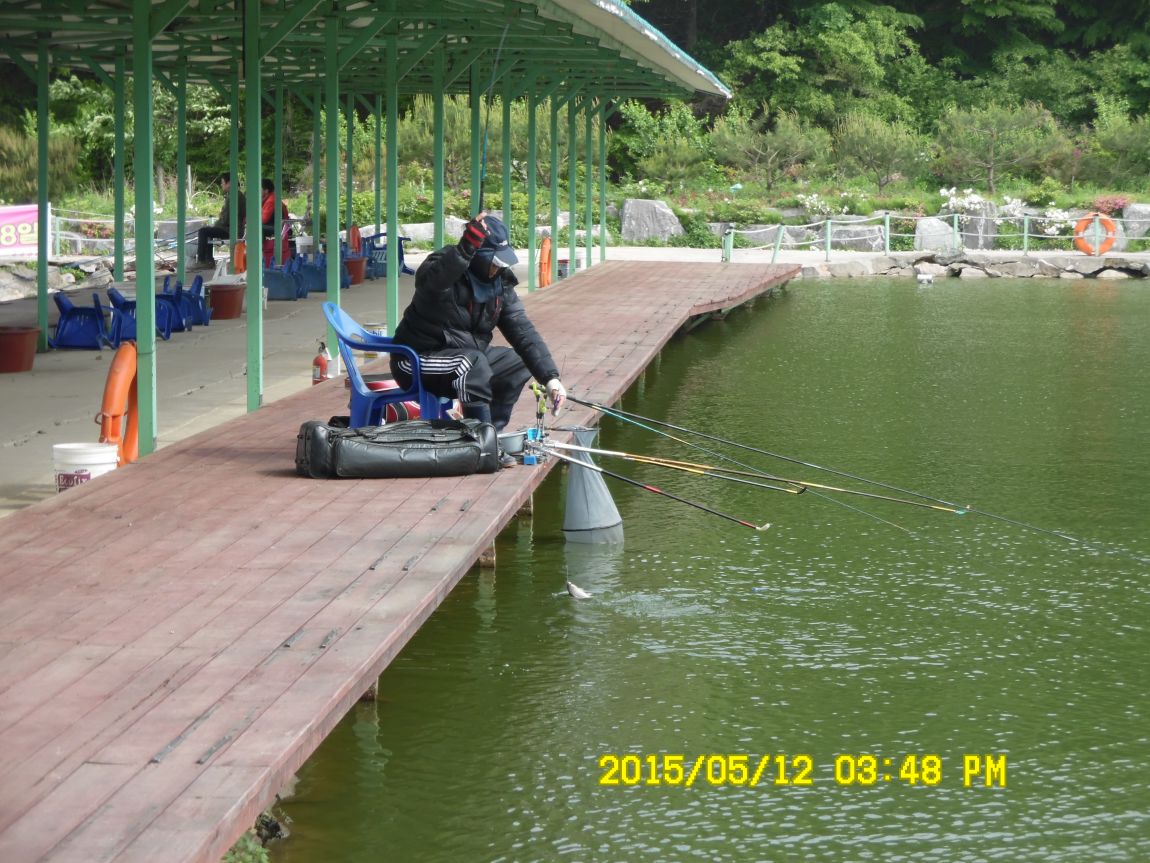 12 009.JPG