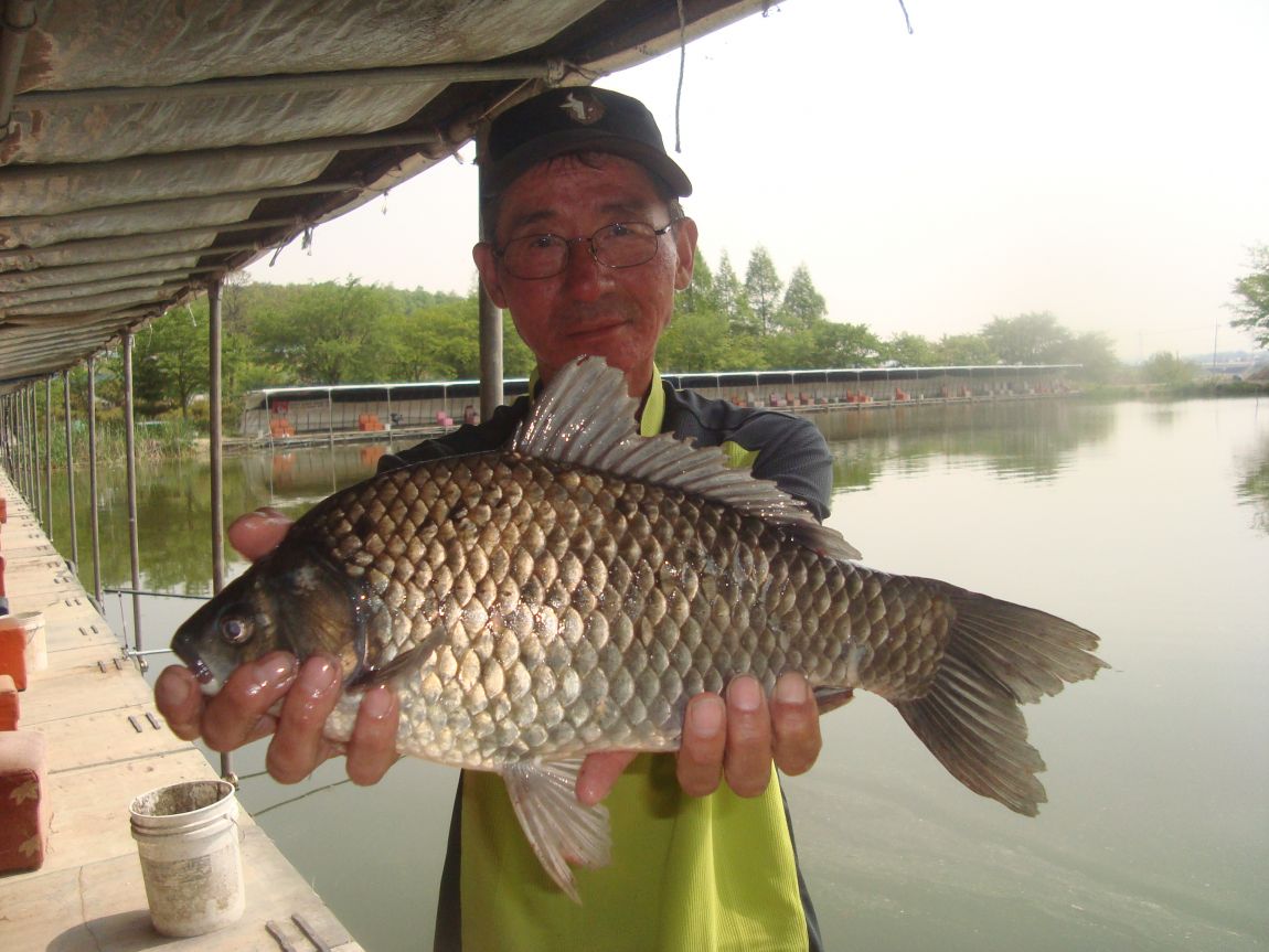 2015-5-15 004.JPG