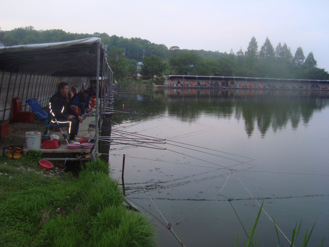 2015-5-15 022.JPG