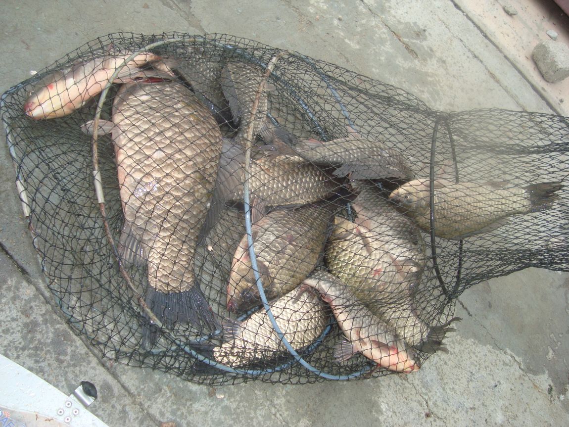 2015-5-15 030.JPG