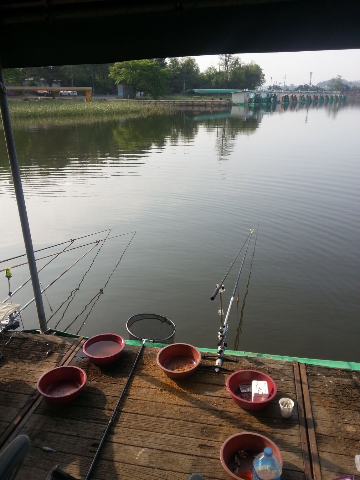 20150509_075530.jpg
