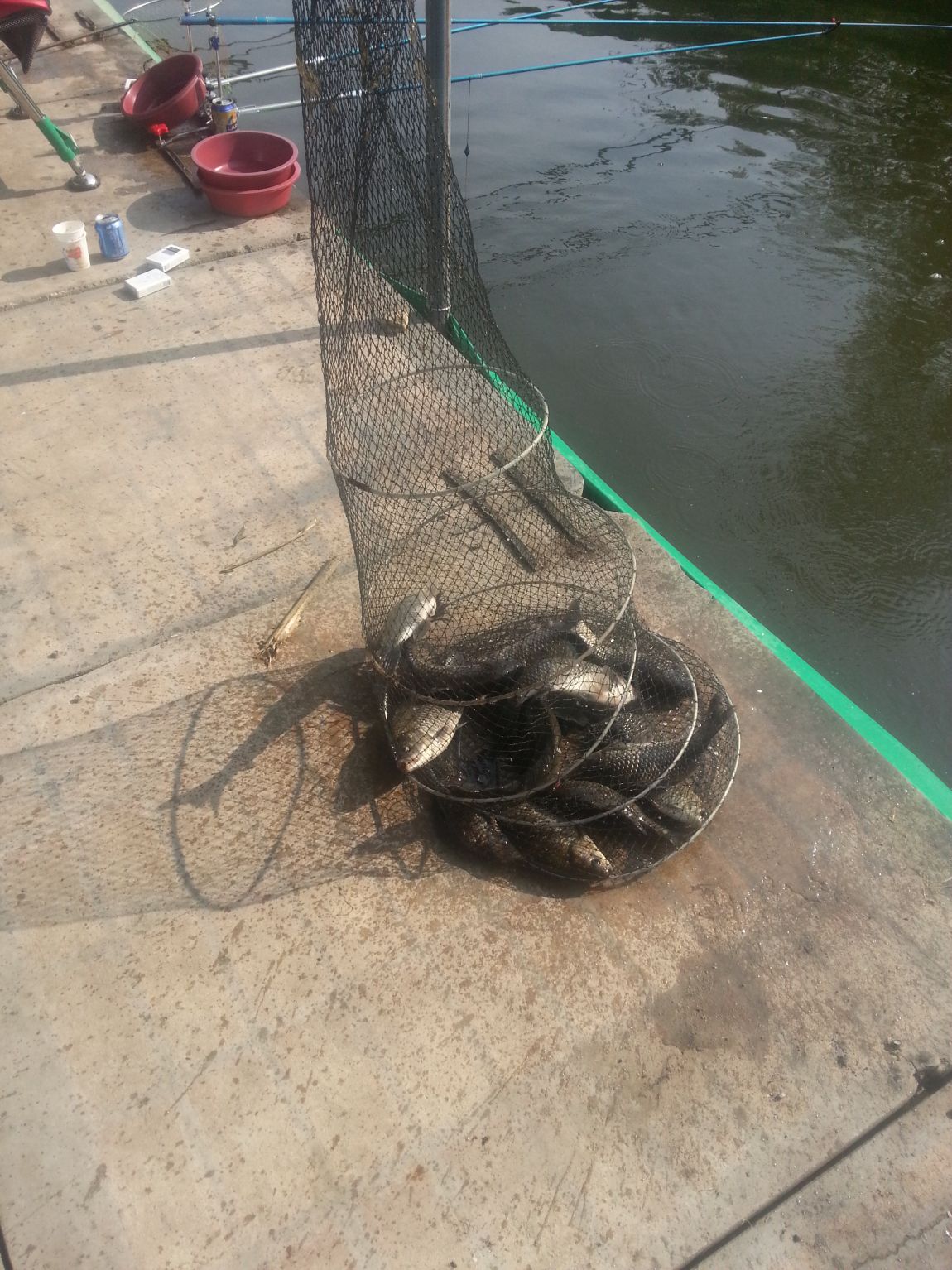 20150510_083145.jpg