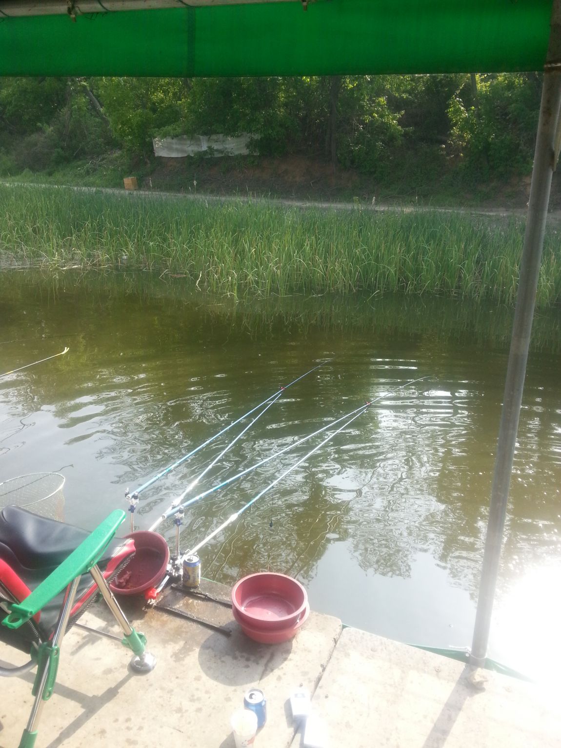 20150510_083231.jpg