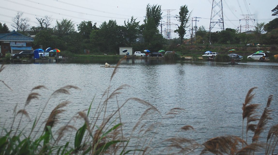 �ٹ̱�_DSC_0014.JPG