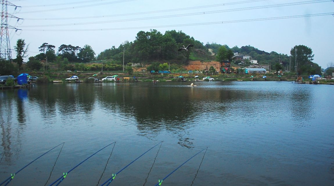 �ٹ̱�_DSC_0018.JPG