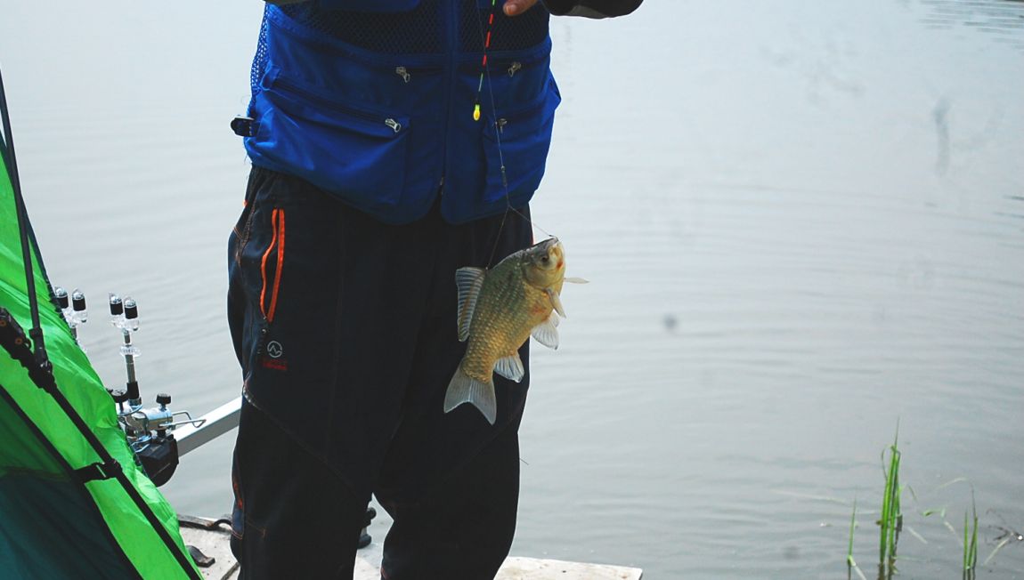 �ٹ̱�_DSC_0192.JPG