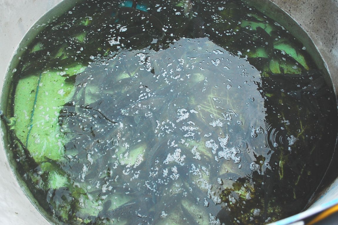 �ٹ̱�_DSC_0210.JPG