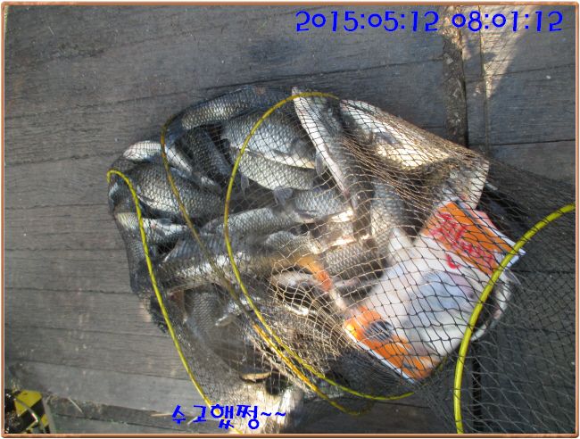 �ٹ̱�_IMG_1495.JPG
